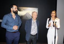 В QGallery состоялось открытие выставки Назрин Аббасовой "В объятиях эмоций"  (ФОТО)