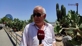 Жители Баку возмущены случаями повреждения декоративных растений на бульваре (ВИДЕОРЕПОРТАЖ)