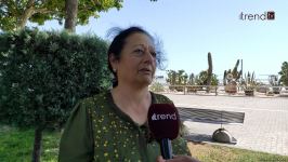 Жители Баку возмущены случаями повреждения декоративных растений на бульваре (ВИДЕОРЕПОРТАЖ)