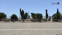 Жители Баку возмущены случаями повреждения декоративных растений на бульваре (ВИДЕОРЕПОРТАЖ)