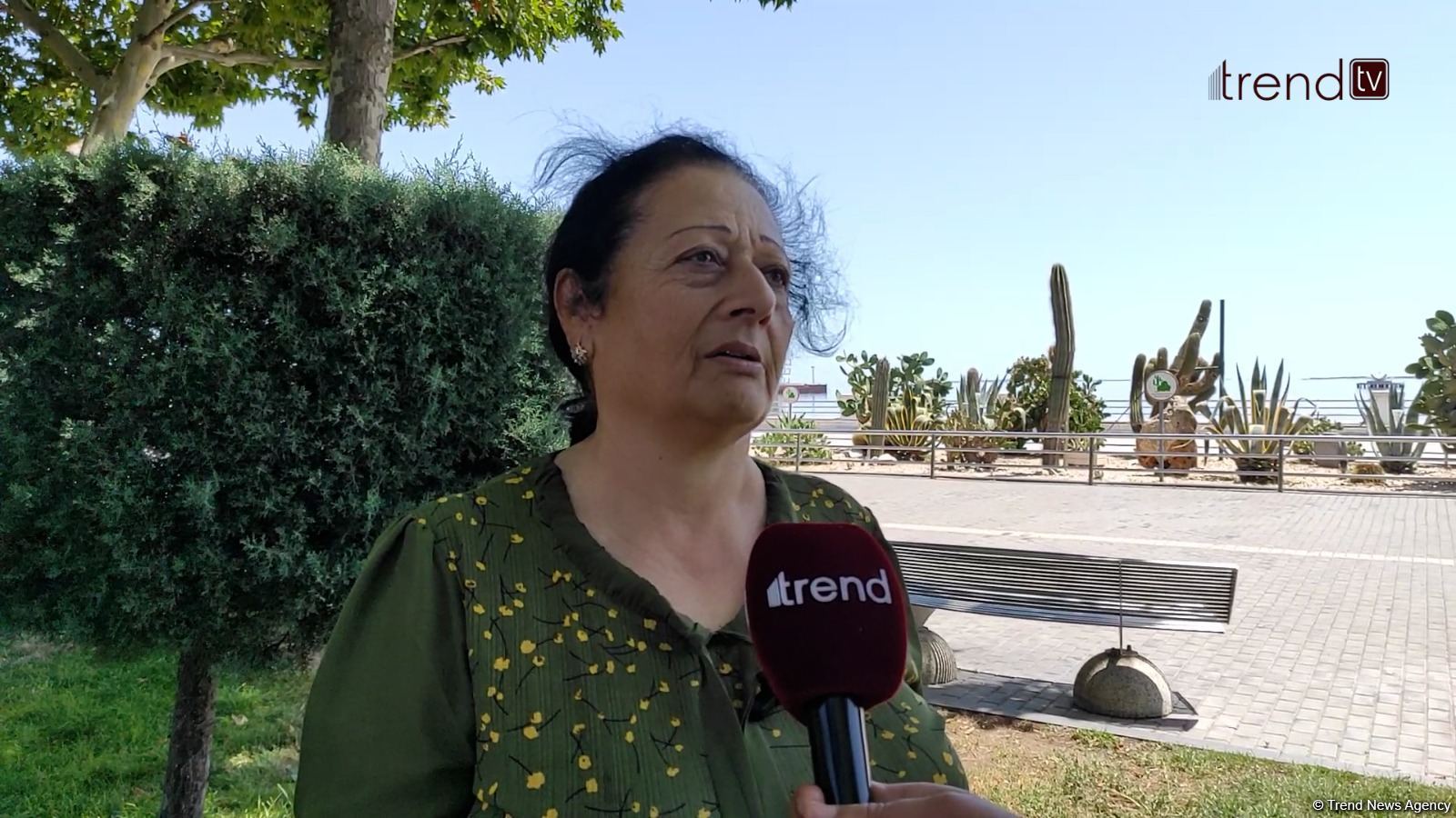 Жители Баку возмущены случаями повреждения декоративных растений на бульваре (ВИДЕОРЕПОРТАЖ)