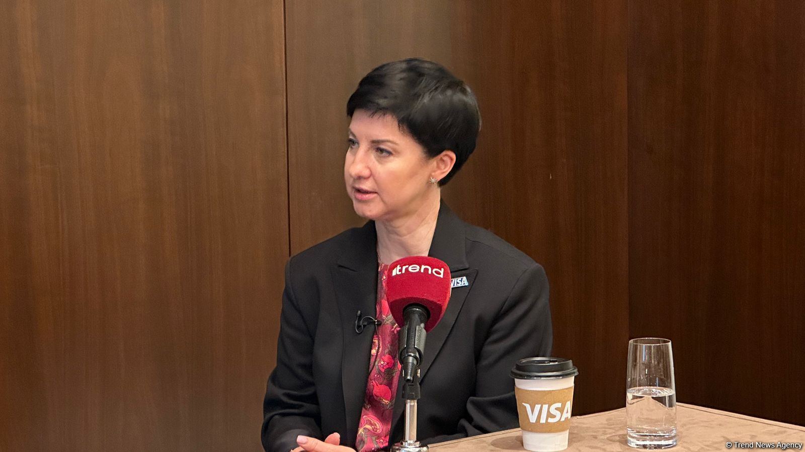 Visa способна обезопасить своих пользователей от мошеннических операций - вице-президент