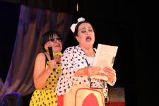 Убей меня, любимый! Как в Лянкяране две уставшие от одиночества женщины обезвредили "маньяка"- газовщика (ФОТО)