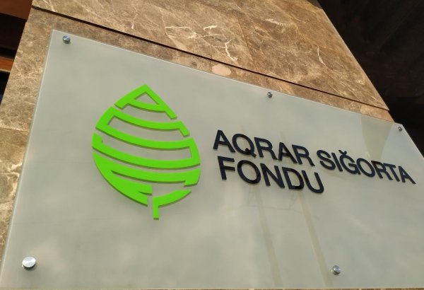 Обнародованы условия страхования сельскохозяйственных животных в Азербайджане