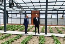 Президент Ильхам Алиев принял участие в открытии Джалилабадского государственного центра профессионального образования (ФОТО/ВИДЕО)