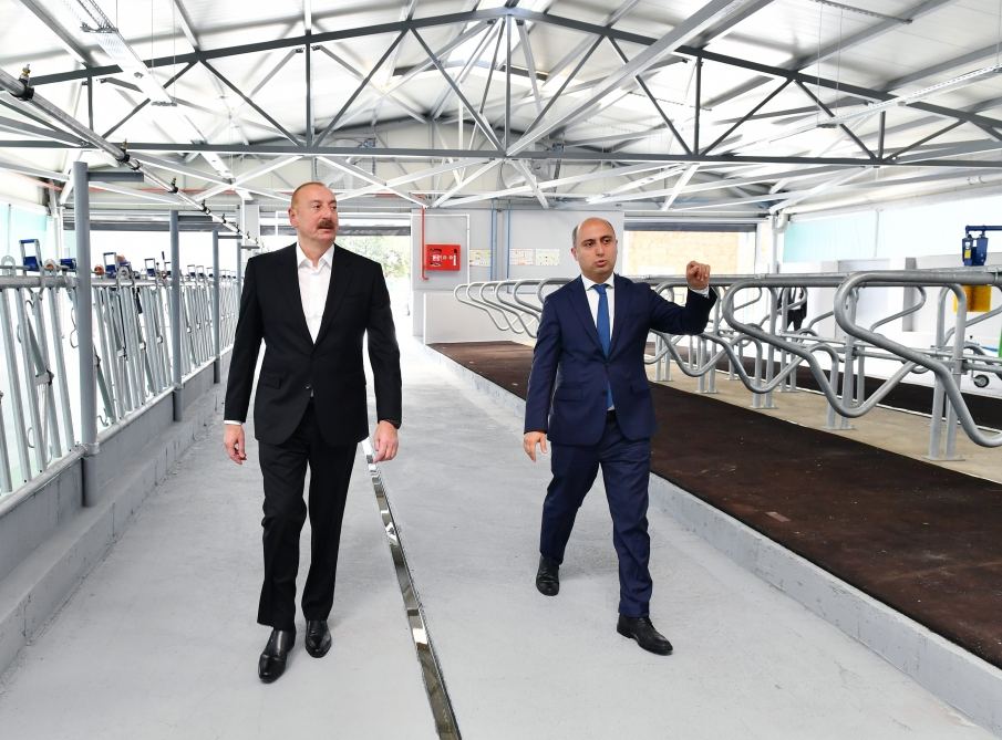 Президент Ильхам Алиев принял участие в открытии Джалилабадского государственного центра профессионального образования (ФОТО/ВИДЕО)