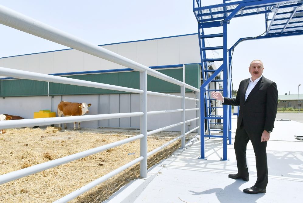 Президент Ильхам Алиев принял участие в открытии Джалилабадского государственного центра профессионального образования (ФОТО/ВИДЕО)