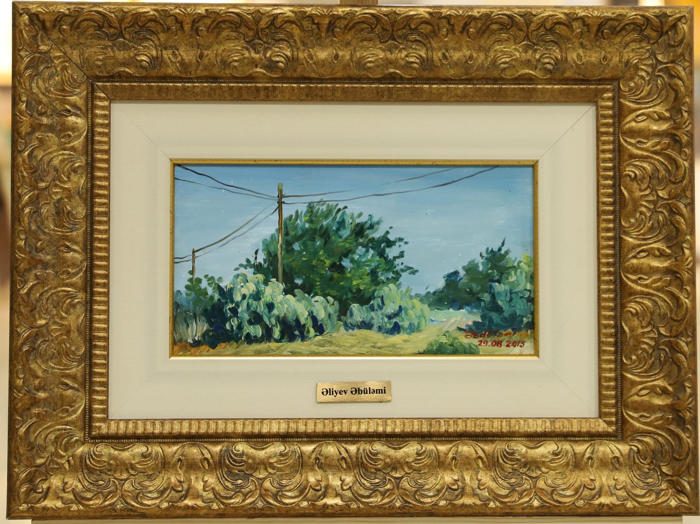 В Баку создан красочный уголок этюдов (ФОТО)