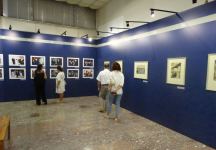 В Албании проходит Неделя азербайджанской культуры (ФОТО)