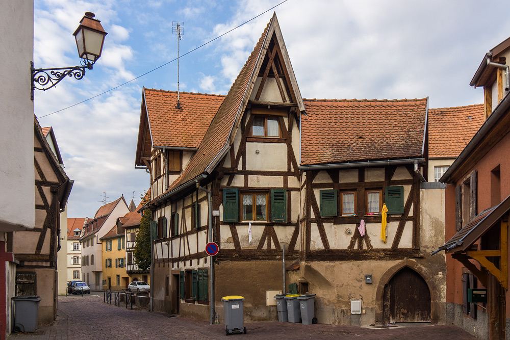 На родине новогодней ёлки во Франции открылась школа, где будут изучать азербайджанскую классику (ФОТО)