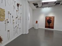 В Париже расцвели азербайджанские розы - сильнейшее эмоциональное восприятие (ФОТО)