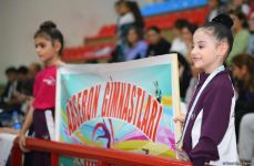 В Нахчыване стартовал заключительный день Международного турнира по художественной гимнастике "Grace of Nature" (ФОТО)