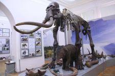 Астрахань глазами азербайджанца – рыбный рай, золото кочевников, доисторические животные, уникальный Кремль и картины  (ФОТО)