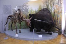 Астрахань глазами азербайджанца – рыбный рай, золото кочевников, доисторические животные, уникальный Кремль и картины  (ФОТО)