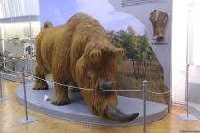 Астрахань глазами азербайджанца – рыбный рай, золото кочевников, доисторические животные, уникальный Кремль и картины  (ФОТО)