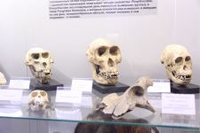 Астрахань глазами азербайджанца – рыбный рай, золото кочевников, доисторические животные, уникальный Кремль и картины  (ФОТО)