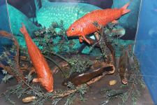 Астрахань глазами азербайджанца – рыбный рай, золото кочевников, доисторические животные, уникальный Кремль и картины  (ФОТО)