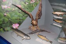 Астрахань глазами азербайджанца – рыбный рай, золото кочевников, доисторические животные, уникальный Кремль и картины  (ФОТО)