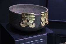 Астрахань глазами азербайджанца – рыбный рай, золото кочевников, доисторические животные, уникальный Кремль и картины  (ФОТО)