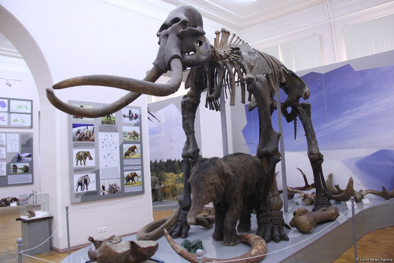 Астрахань глазами азербайджанца – рыбный рай, золото кочевников, доисторические животные, уникальный Кремль и картины  (ФОТО)