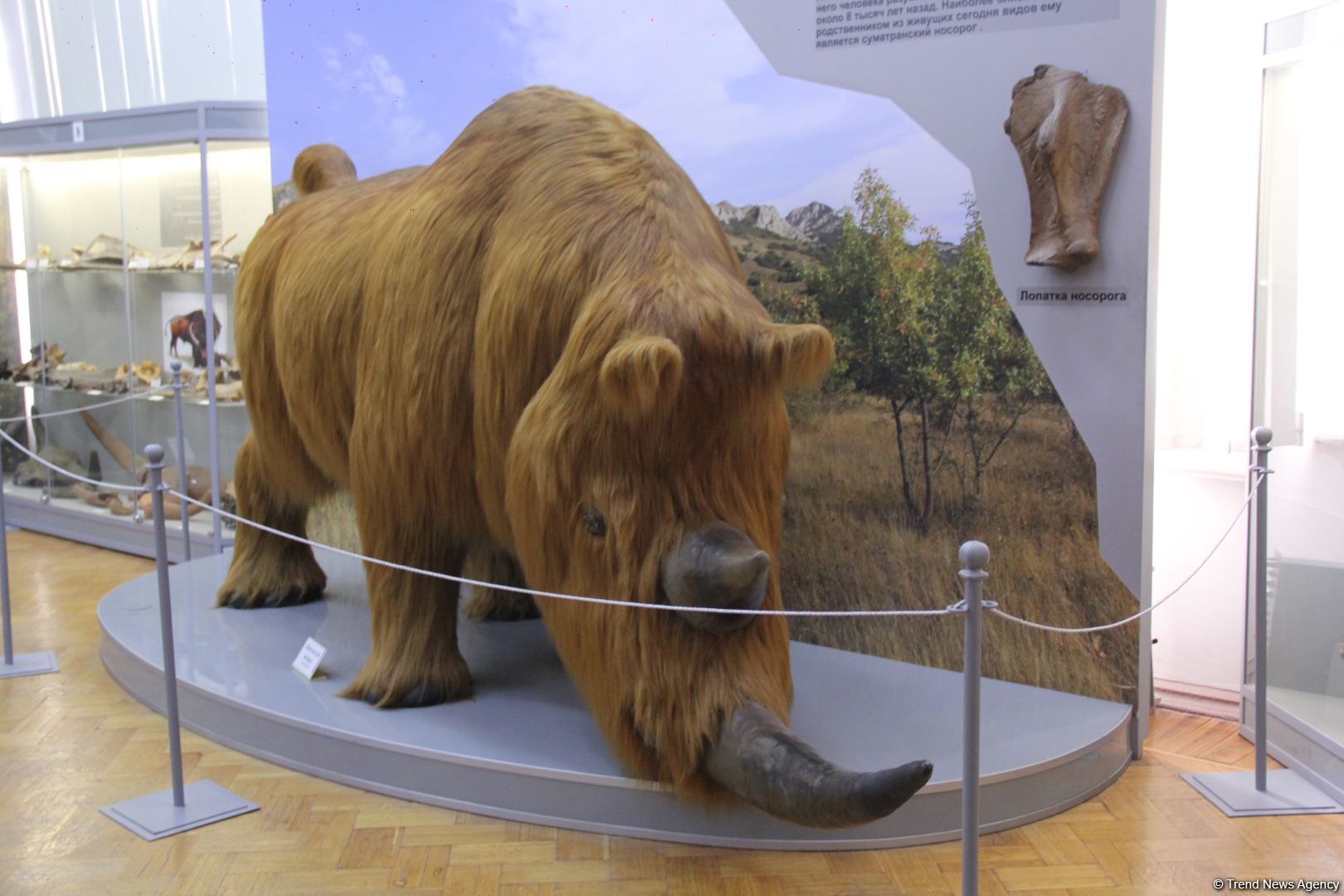 Астрахань глазами азербайджанца – рыбный рай, золото кочевников, доисторические животные, уникальный Кремль и картины  (ФОТО)