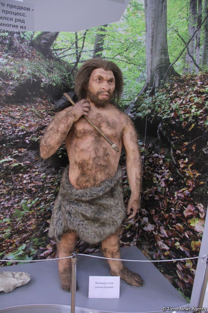 Астрахань глазами азербайджанца – рыбный рай, золото кочевников, доисторические животные, уникальный Кремль и картины  (ФОТО)