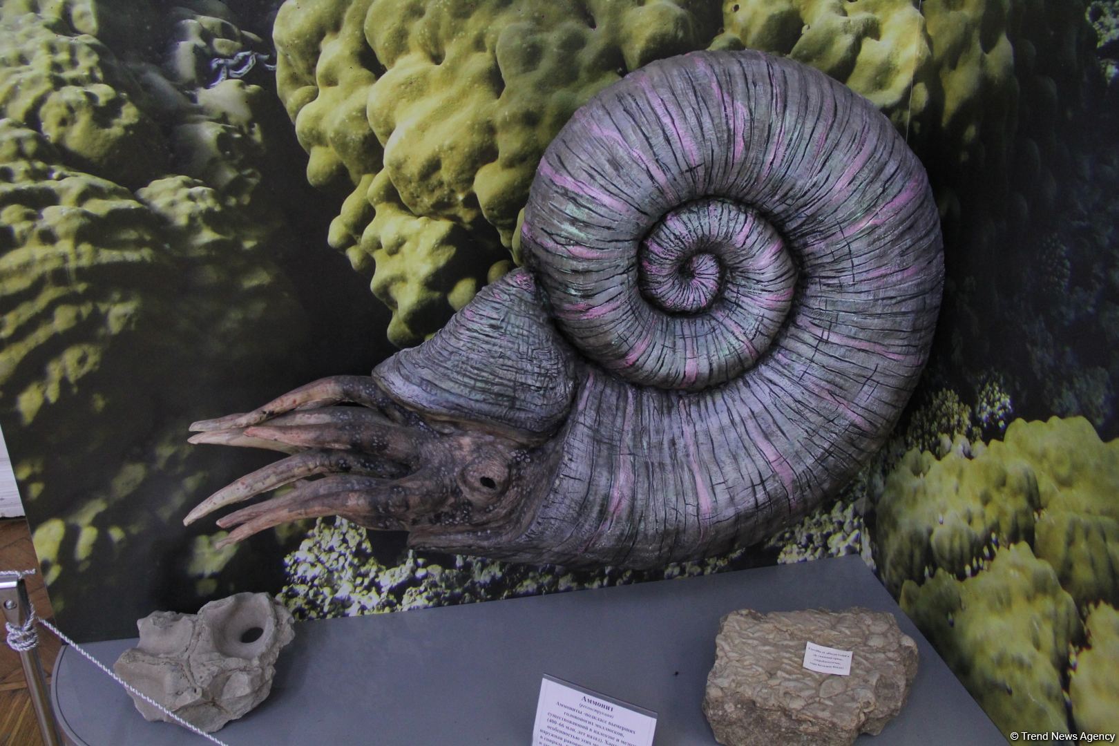 Астрахань глазами азербайджанца – рыбный рай, золото кочевников, доисторические животные, уникальный Кремль и картины  (ФОТО)