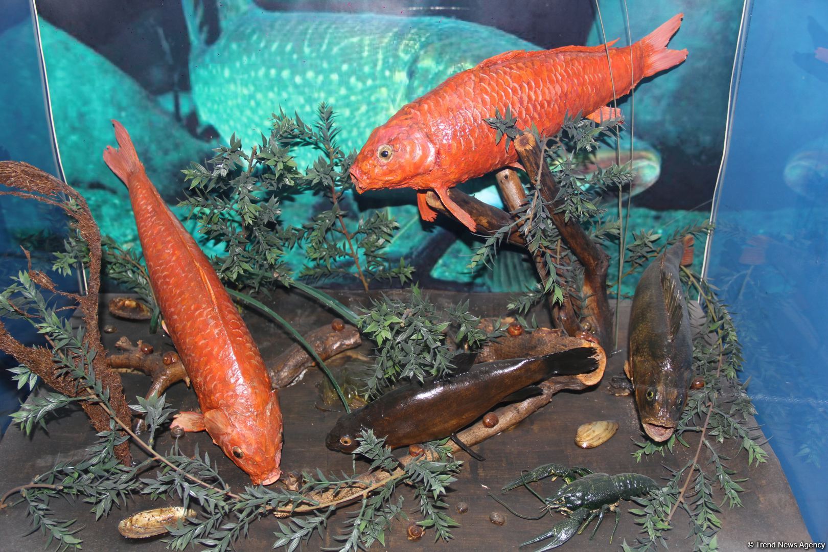 Астрахань глазами азербайджанца – рыбный рай, золото кочевников, доисторические животные, уникальный Кремль и картины  (ФОТО)