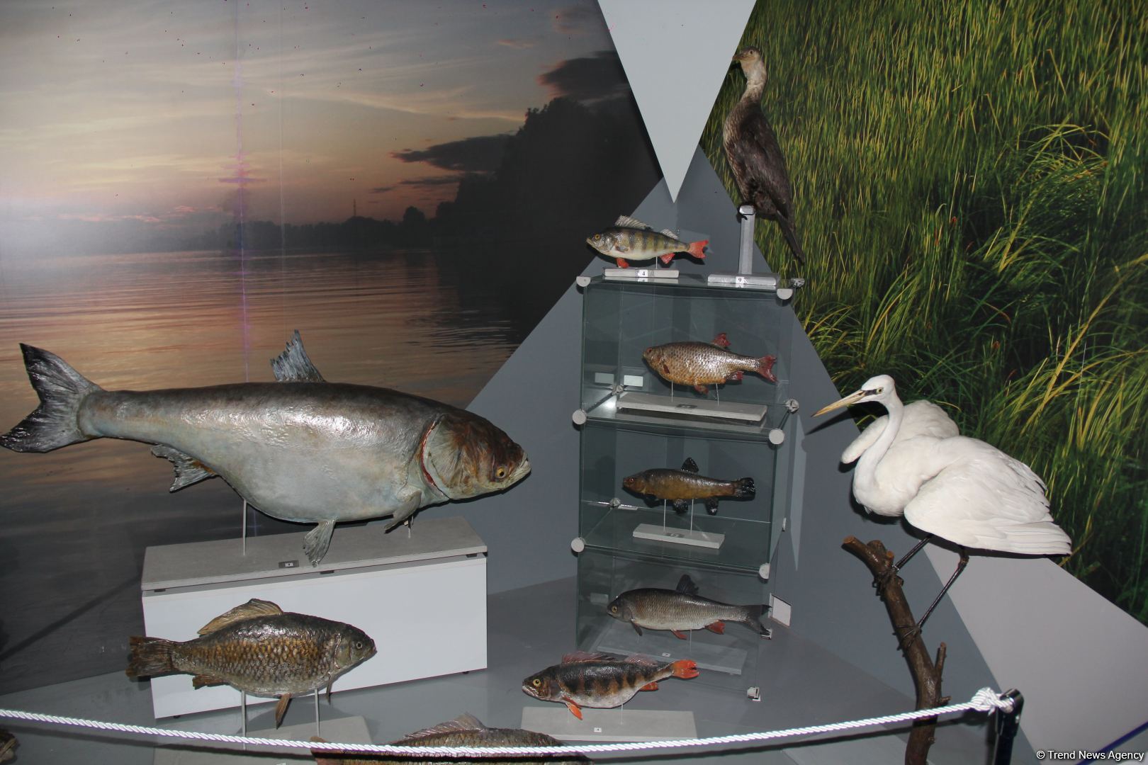 Астрахань глазами азербайджанца – рыбный рай, золото кочевников, доисторические животные, уникальный Кремль и картины  (ФОТО)