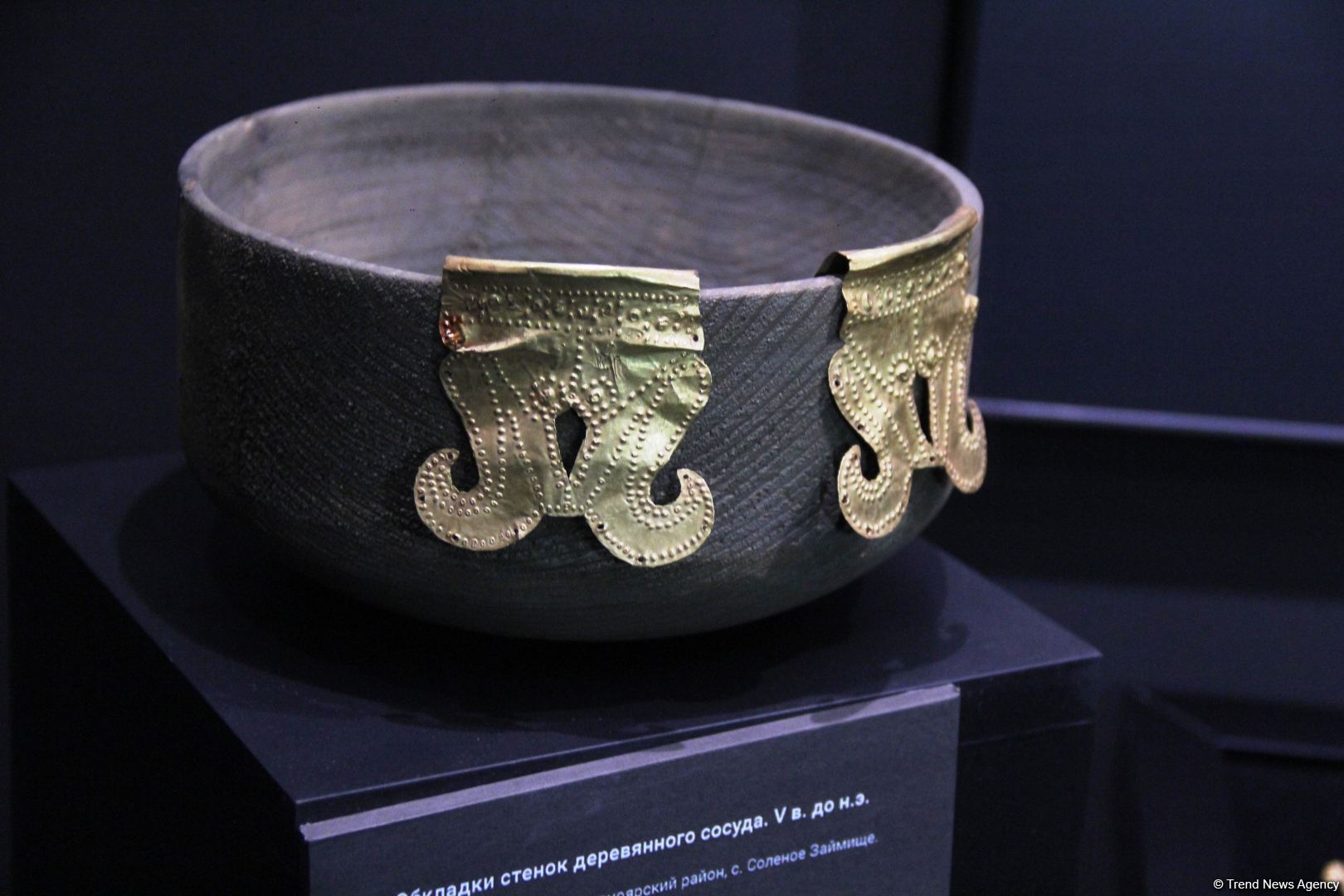 Астрахань глазами азербайджанца – рыбный рай, золото кочевников, доисторические животные, уникальный Кремль и картины  (ФОТО)