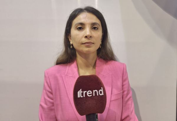 В 28-ом чемпионате Баку по художественной гимнастике участвуют 110 спортсменок - врио председателя правления клуба "Оджаг Спорт"