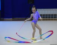 Стартовал 28-й чемпионат Баку по художественной гимнастике (ФОТО)