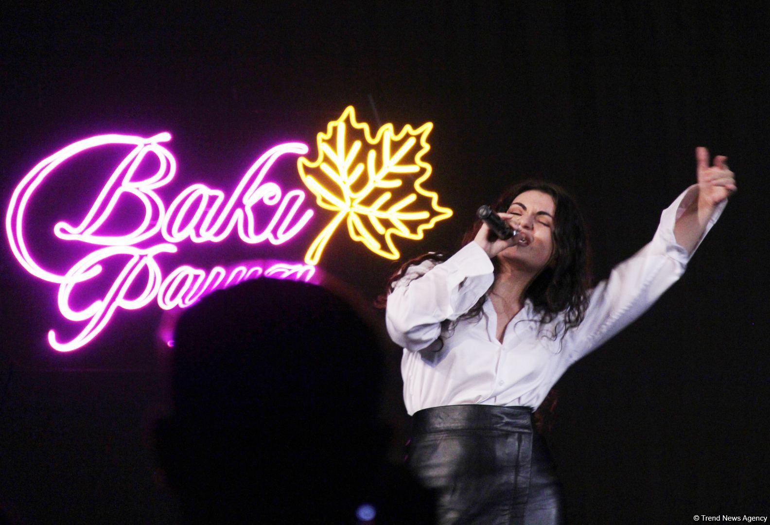 Промо-вечер "Бакинская осень – 35 лет спустя" со звездными актерами и блогерами  (ВИДЕО, ФОТО)