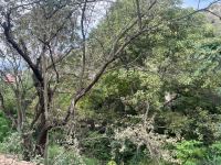 Лачин поражает своей красотой (ФОТО/ВИДЕО)