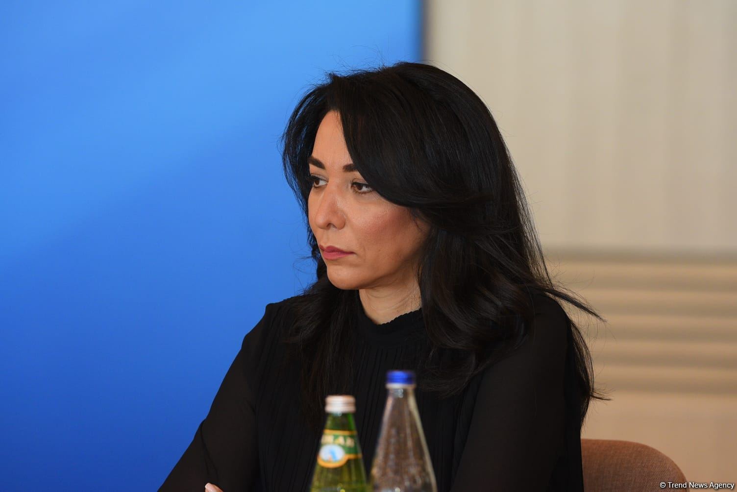 Предпринимаются постоянные усилия для восстановления прав азербайджанцев, изгнанных из Армении - омбудсмен