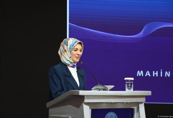 Турция придает большое значение работе с Азербайджаном в области семьи, женщин и детей - министр