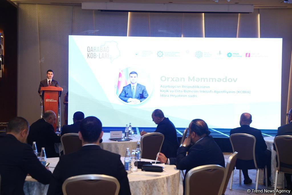 За последние 5 лет в Азербайджане 1 миллион человек получили услуги по трудоустройству - Сахиль Бабаев (ФОТО)