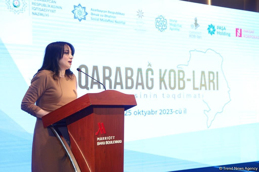 За последние 5 лет в Азербайджане 1 миллион человек получили услуги по трудоустройству - Сахиль Бабаев (ФОТО)