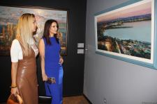 В QGallery открылась выставка Тараны Сеид "Магия цвета" – энергетика и красочность мастихиновой живописи (ФОТО)