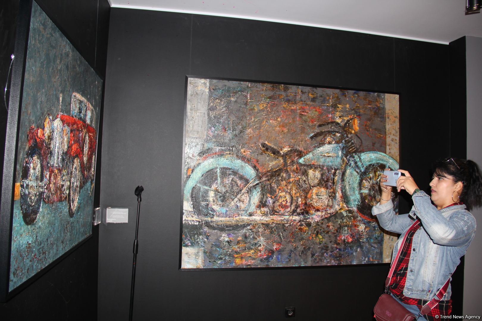 В QGallery открылась выставка Тараны Сеид "Магия цвета" – энергетика и красочность мастихиновой живописи (ФОТО)