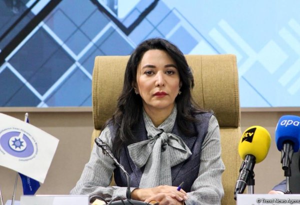 Сотни азербайджанцев стали инвалидами из-за давления в армянском плену  - Сабина Алиева