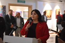 Искусство мастеров Нахчывана представлено в городах Турции (ФОТО)