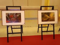 В Урумчи состоялся праздничный концерт, посвященный Форуму ШОС «Год туризма 2023»  (ФОТО)