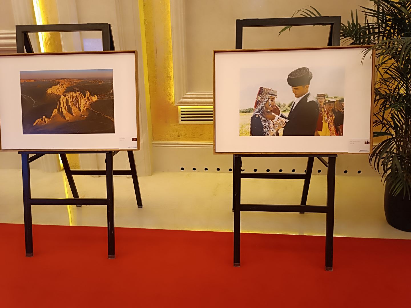 В Урумчи состоялся праздничный концерт, посвященный Форуму ШОС «Год туризма 2023»  (ФОТО)