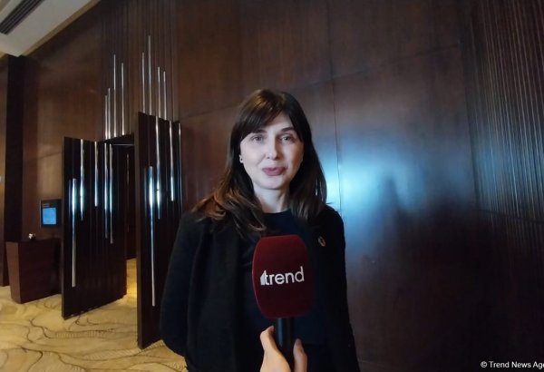 Азербайджан является лидером в гуманитарной деятельности по разминированию - Владанка Андреева