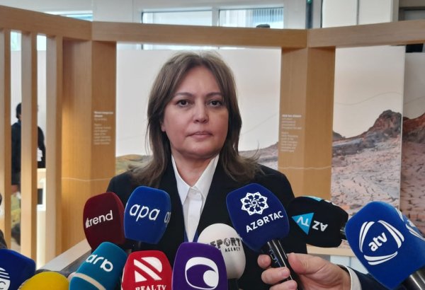 Азербайджан является лидером региона по озеленению - Умайра Тагиева