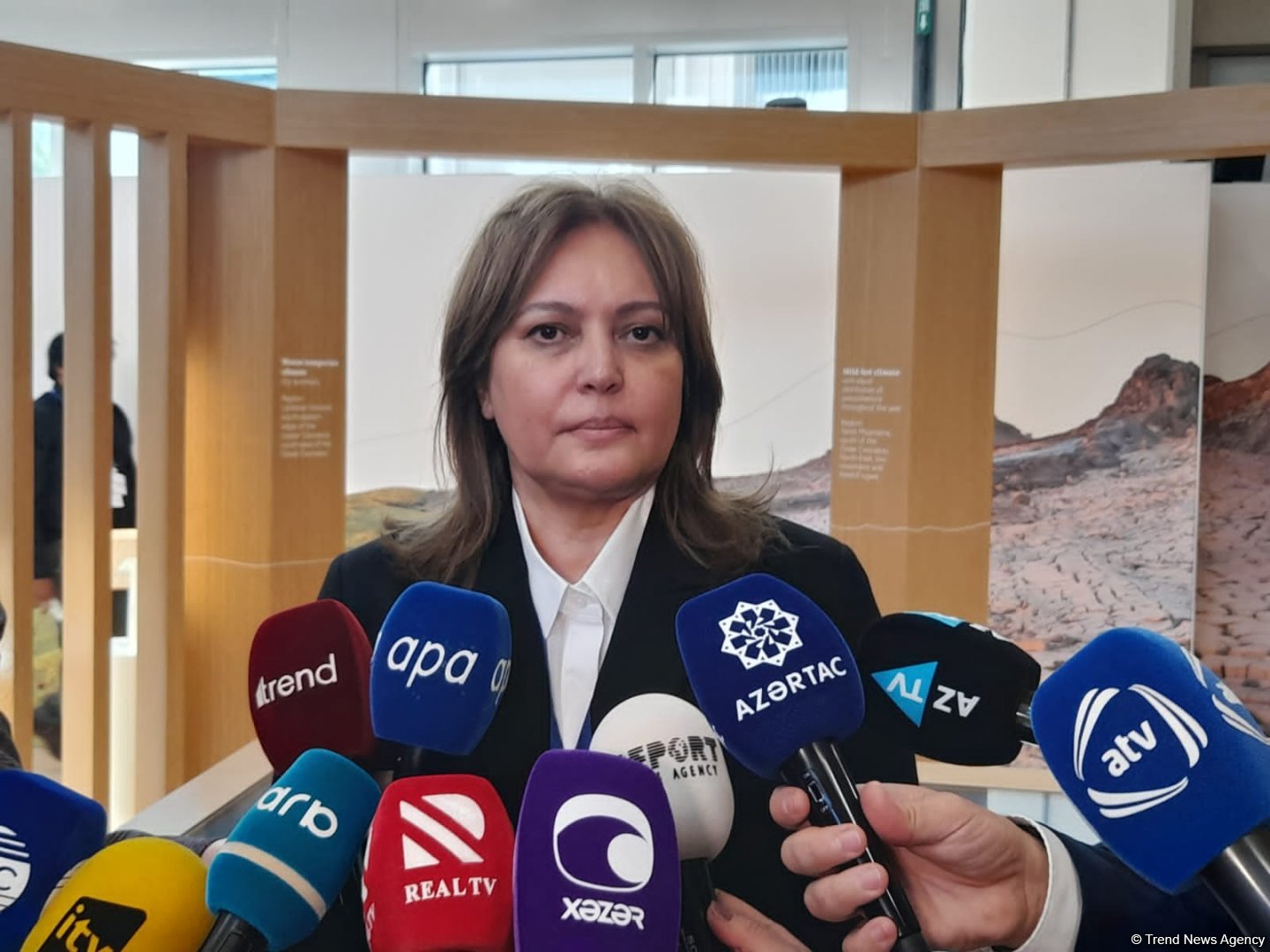 Климатические изменения происходят намного быстрее, чем предполагалось - Умайра Тагиева