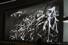 Президент Ильхам Алиев принял участие в мероприятии по случаю Национального дня ОАЭ в Дубае (ФОТО/ВИДЕО)