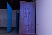 В Центре YARAT состоялось открытие выставок азербайджанских и грузинских художников - "Проверено, мин нет!" и "Эквинокс" (ФОТО)