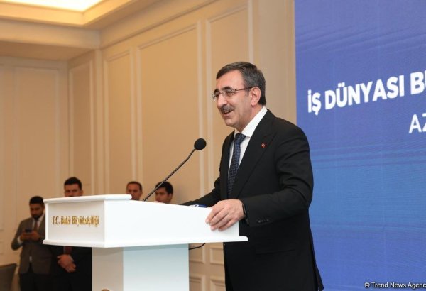 Азербайджано-турецкие отношения являются примером для других стран - вице-президент Турции